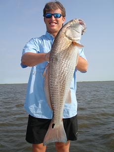 Bull Redfish